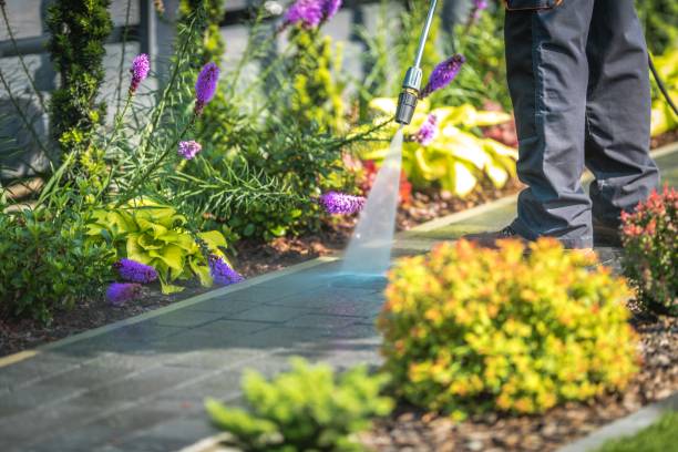 Best Winterizing Services  in Lagunitas Forest Knolls, CA